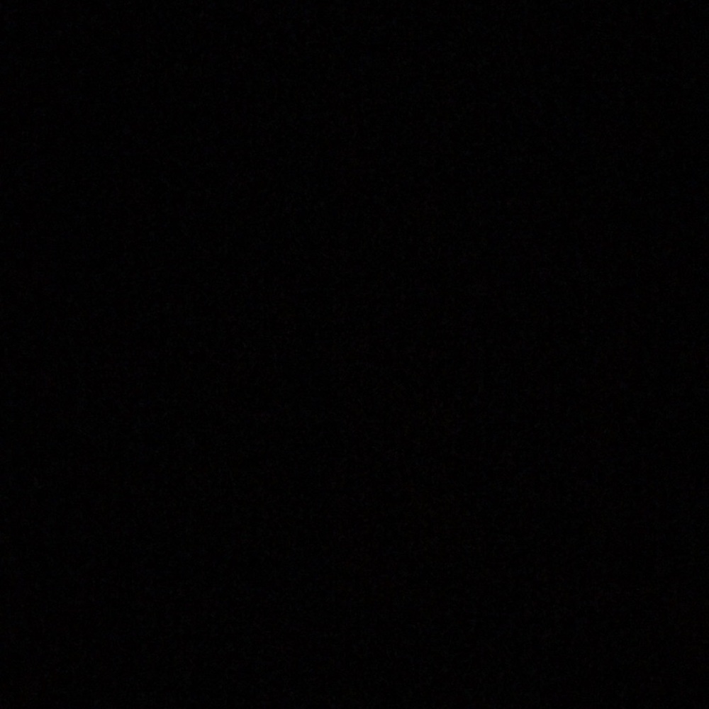 Meet your Posher, Lily